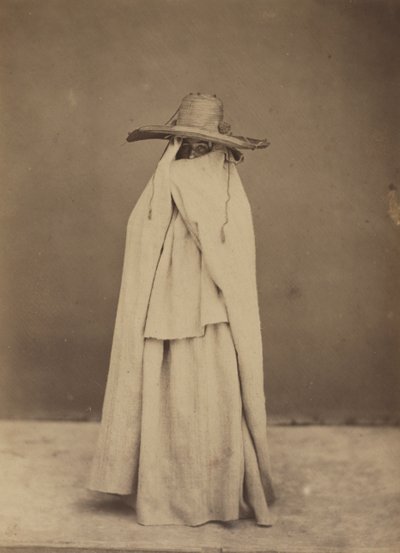 Algerian Woman by Gustave de Beaucorps