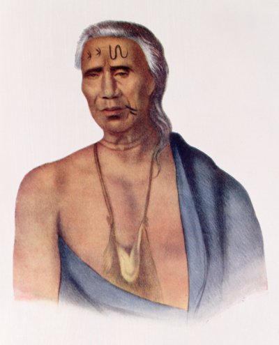 Lap-Pa-Win-Soe, a Delaware Chief, illustration from 