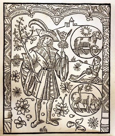 Shepherd