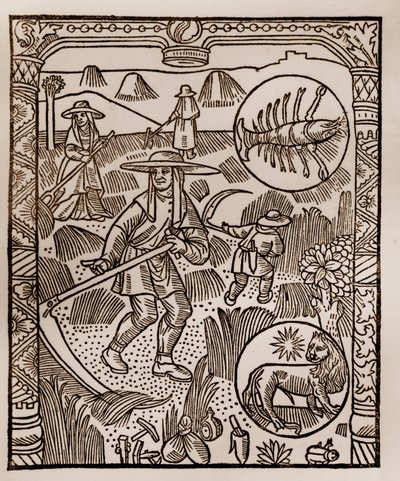 Shepherd