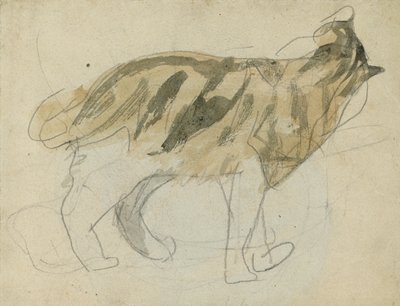 Cat Studies by Gwen John