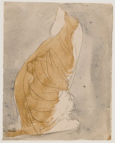 Study of a Cat by Gwen John