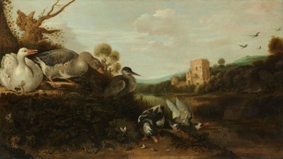 Waterfowl by Gysbert Hondecoeter