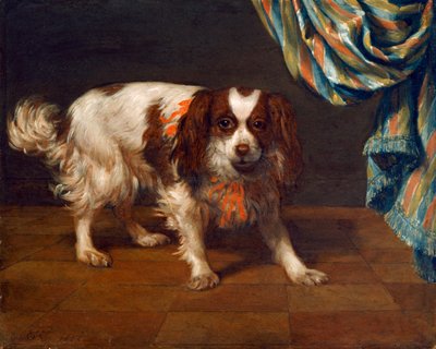 A King Charles Spaniel by Gysbert van de Kuyl