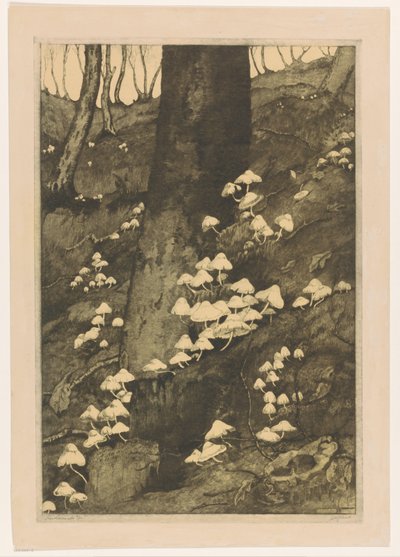 Mushrooms in a Forest by H.C. Spruit (signed by artist)