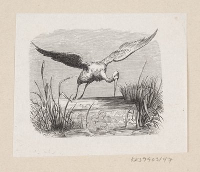 Illustration for "The Storks" in H.C. Andersen