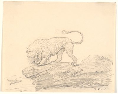 A Lion on a Rock. It Watches a Passing Bird by H.W. Bissen