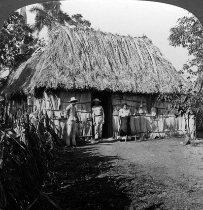 A Home in the Interior of the Island of Cuba by H. C. White