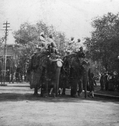 A Punjabi Princess Riding an Elephant in a Procession, Delhi, India, 1900s by H. Hands and Son