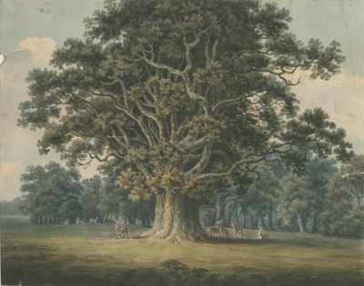 Needwood - Swilcar Oak by H Moore