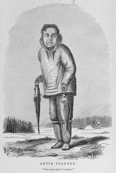 Anvik Stareek or 