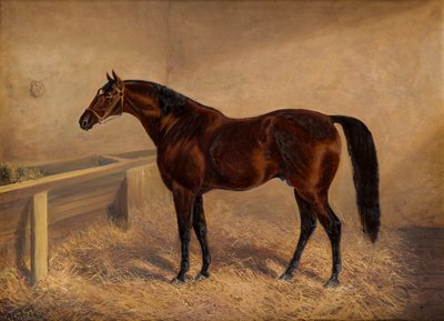 Wenlock: A Bay Racehorse, in a loose box (c.1881-1903) by H. Whittaker Reville