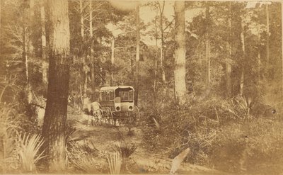 Scene on Folly Island by Haas and Peale