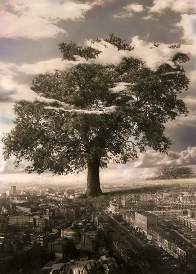 The Tree in Islington by Hag Hag