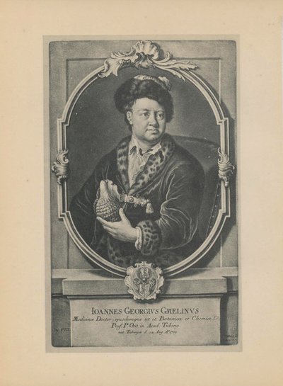 Portrait of the naturalist, botanist and geographer Johann Georg Gmelin 1709-1755, Mid of the 18th century by Haid