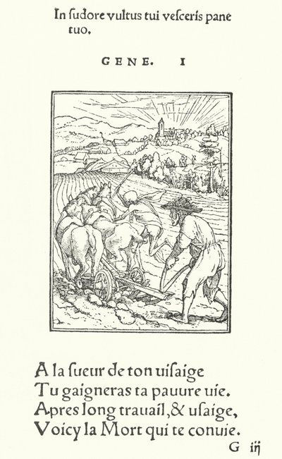 The Ploughman, or Farmer (engraving) by Hans (after) Holbein the Younger