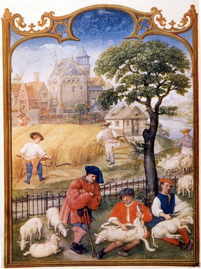 Field work, shear sheep and peasants mow wheat. Thumbnail assigned to Memling. Plate drawn from the Breviaire Grimani of the 15th century. Biblioteca Marciana, Venice by Hans (attr.to) Memling