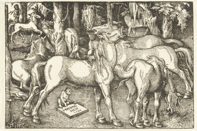 Group of Seven Horses and a Monkey by Hans Baldung Grien