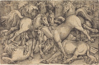 Group of Seven Horses in Woods by Hans Baldung Grien