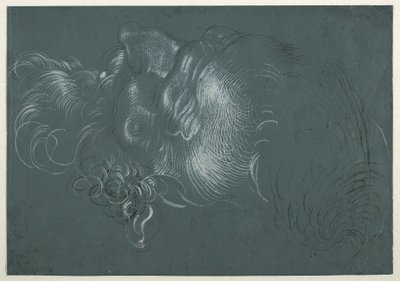 Head of an Apostle, Seen from Above Left by Hans Baldung Grien