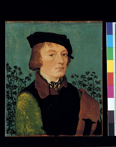 Portrait Of A Man In Front Of A Rose Hedge by Hans Baldung Grien