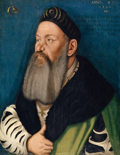 Portrait of Adelberg III von Bärenfels by Hans Baldung Grien