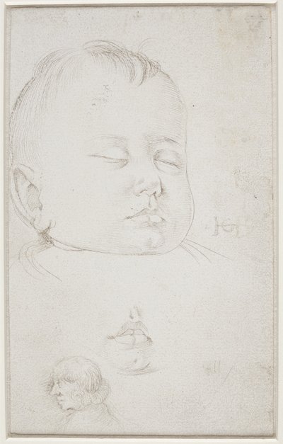 The Head of a Small Boy in Three-Quarter Profile, the Boy