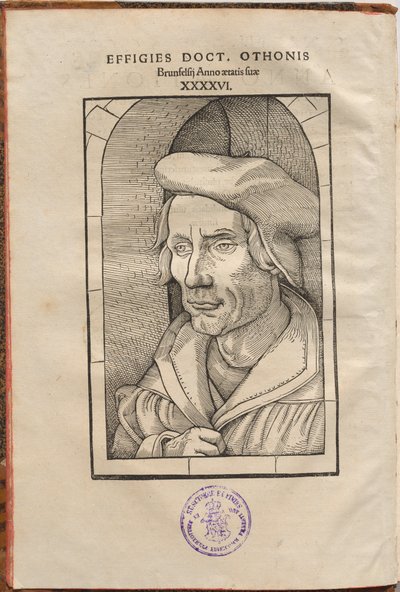 Annotationes Othonis Brunfelsii...in quatuor Euangelia & Acta Apostolorum... by Hans Baldung Grien, Otto Brunfels