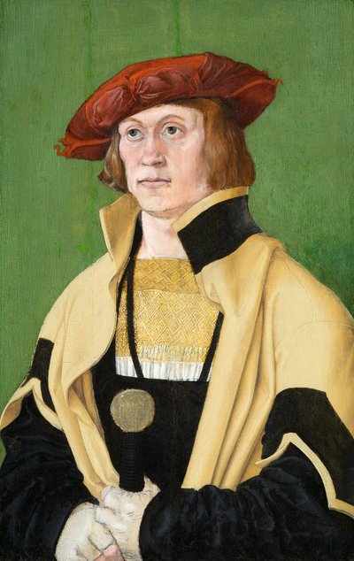 Portrait of a Man, circa 1520 by Hans Brosamer