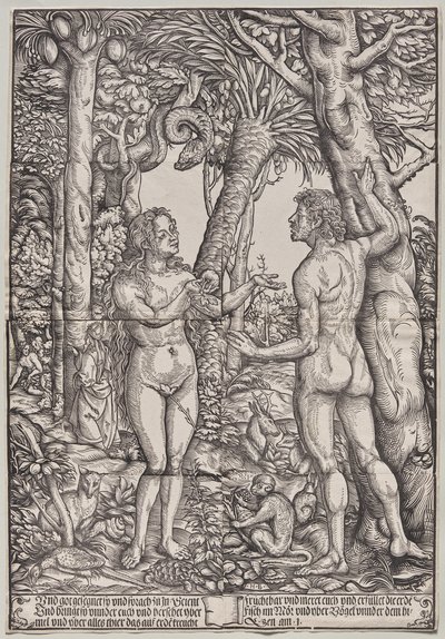 The Fall of Adam and Eve by Hans Burgkmair