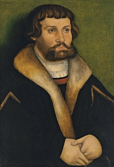 Portrait of a Bearded Man by Hans Cranach