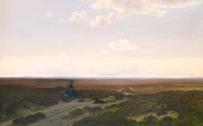 View of Parup Moors near Silkeborg, Jutland by Hans Friis