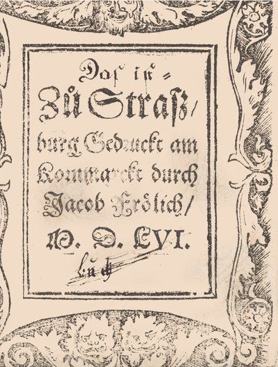 New Model Book for All Needleworkers and Embroiderers Page 27v by Hans Hoffman