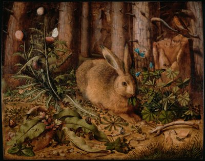 A Hare in the Forest, ca 1585 by Hans Hoffmann