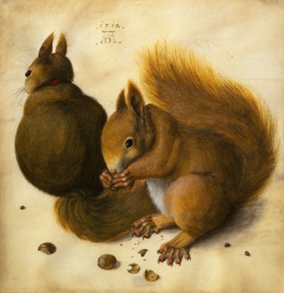 Two Squirrels, One Eating a Hazelnut by Hans Hoffmann