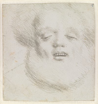 Head of a Bearded Man en Face Seen from Below by Hans Holbein d.Æ.