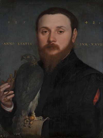 Portrait of a Nobleman with a Hawk, 1542 by Hans Holbein der Jüngere