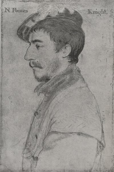 Sir Nicholas Poyntz, c1533-1543 by Hans Holbein der Jüngere
