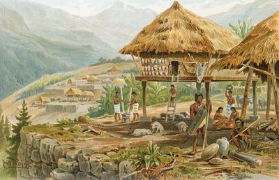 Igorrote Farm in Luzon, Philippines, from 