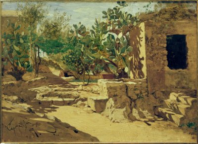 Cactus with Hut by Hans Peter Feddersen der Jüngere