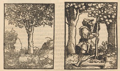 Tree and Depiction of a Fruit Picker Among Trees by Hans Schäufelein (possibly)