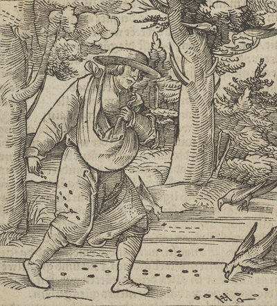 The Birds Eating the Seeds of the Sower, from Hymmelwagen auff dem, wer wol lebt..., 1517 by Hans Schäufelein the Elder