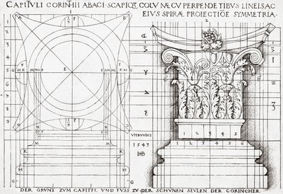 Cross section of Corinthian capital and proportional drawing by Hans Sebald Beham
