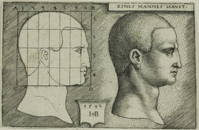 Profile Study of Man