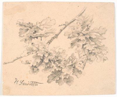 Study of Oak Branches by Hans Smidth