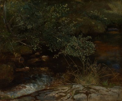 Riverbank with Bushes and Grasses by Hans Thoma