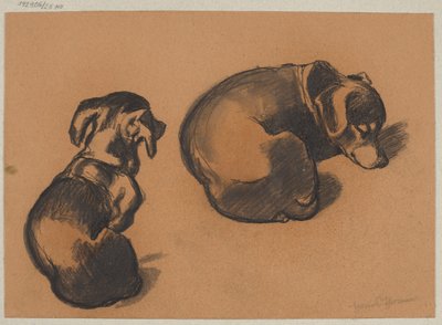 Study of a Dachshund by Hans Thoma