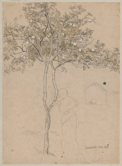 Study of an Orange Tree from the Sorrento Area. Outline of a Female Figure by Hans Thoma
