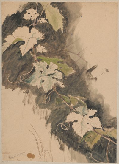 Study of Grapevines by Hans Thoma