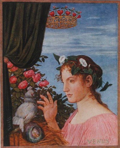 Venus, Illustration from 